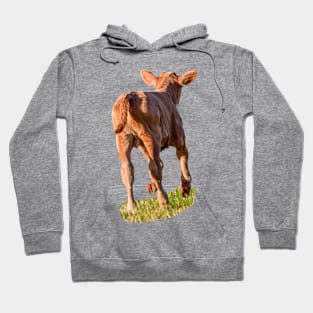 Frisky young calf Hoodie